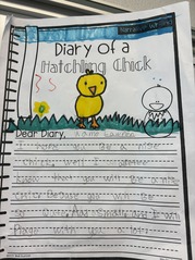 chicks