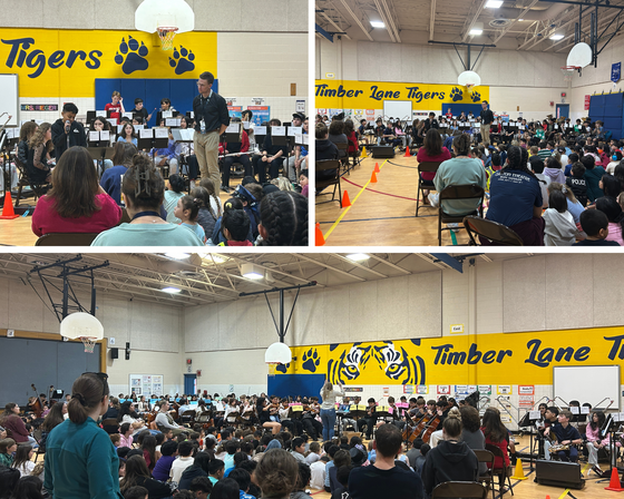 pictures of strings and band assembly