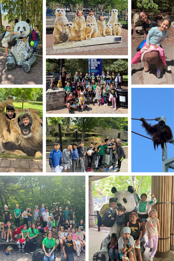 3rd grade trip to the zoo
