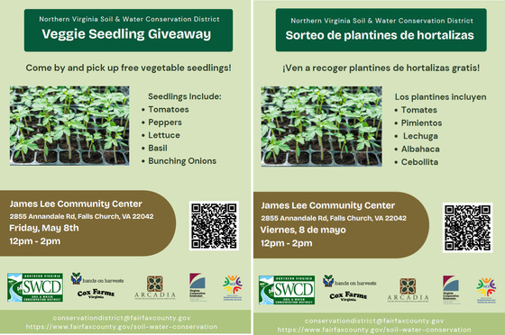 Virginia Seedling Giveaway  - May 8th