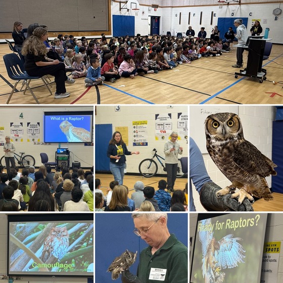 Birds of Prey Assemblies STEAM Program
