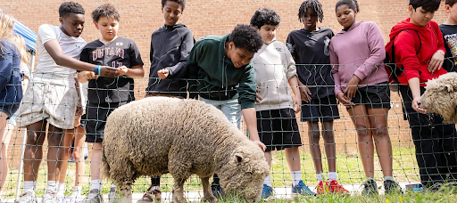 students watching the lambmowers