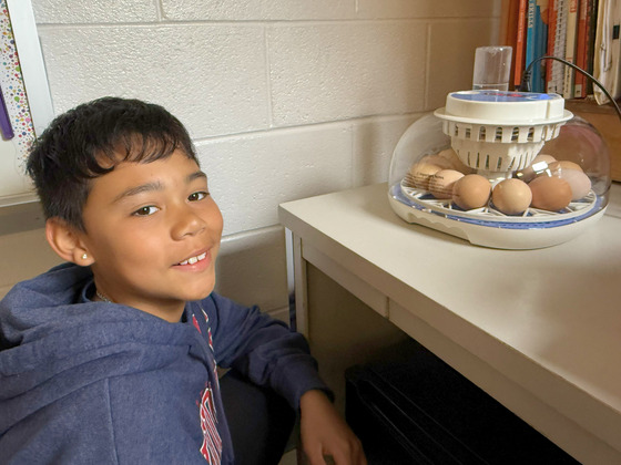 A smiling student sits next to a tabletop egg incubator filled with several brown eggs in a classroom setting.