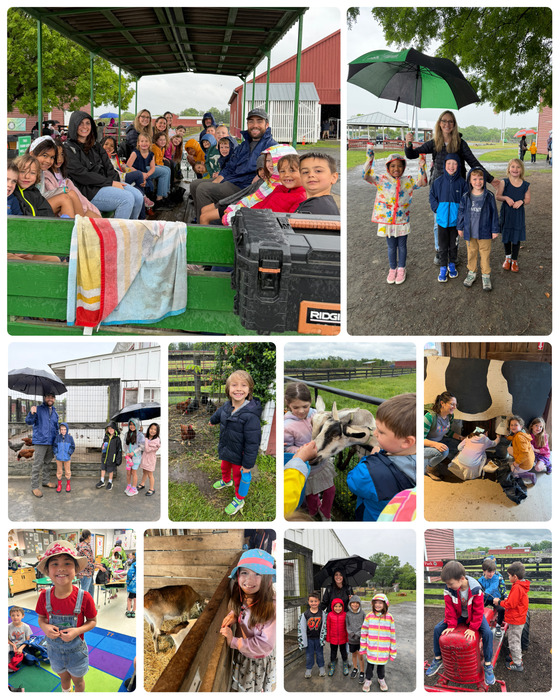 First Grade Field Trip to Frying Pan Park 