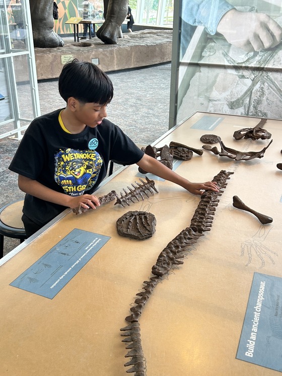 Photo of a student touching copies of dinosaur bones.
