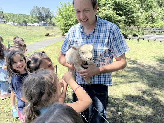 lamb 2