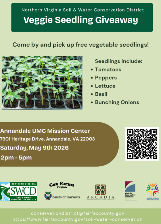 Flyer advertising seedling giveaway at Annandale UMC Mission Center