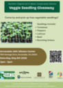 Flyer advertising seedling giveaway at Annandale UMC Mission Center