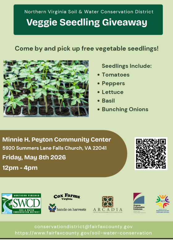 Flyer advertising seedling giveaway at Minnie Peyton Community Center