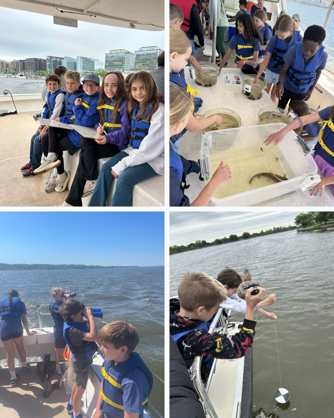 4th Graders Explore the Chesapeake Bay Watershed