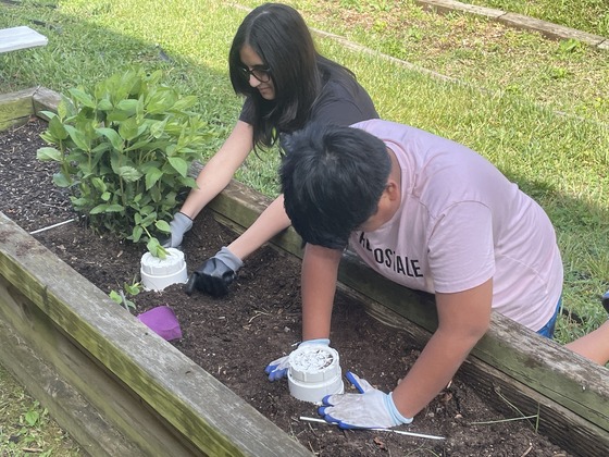 Students installing worm composting towers in the garden. 