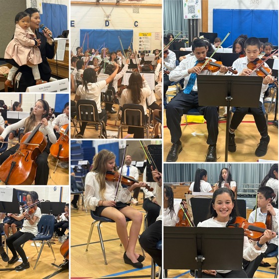 Evening of the Arts Strings Photos
