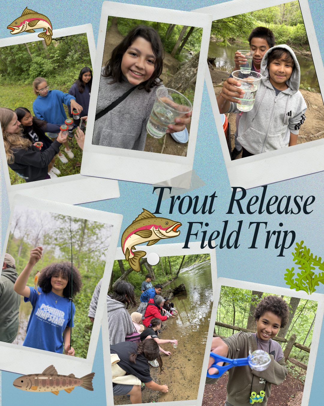 trout release photo collage