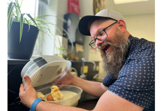 Mr. Darling looking at the baby chicks