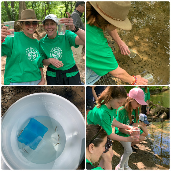 Collage of four pictures of students and staff wearing green shirts near a stream