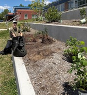 picture of student planting