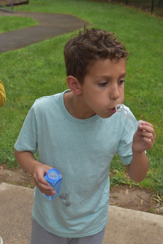 Bubble Day