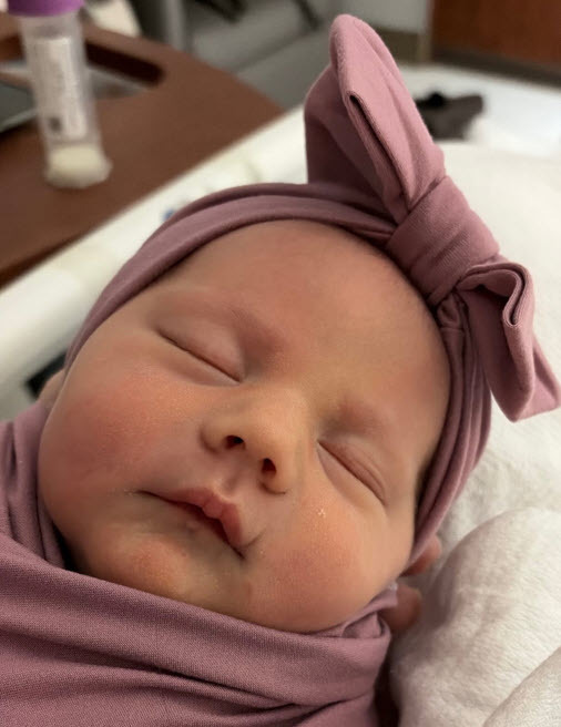 Baby Dauberman