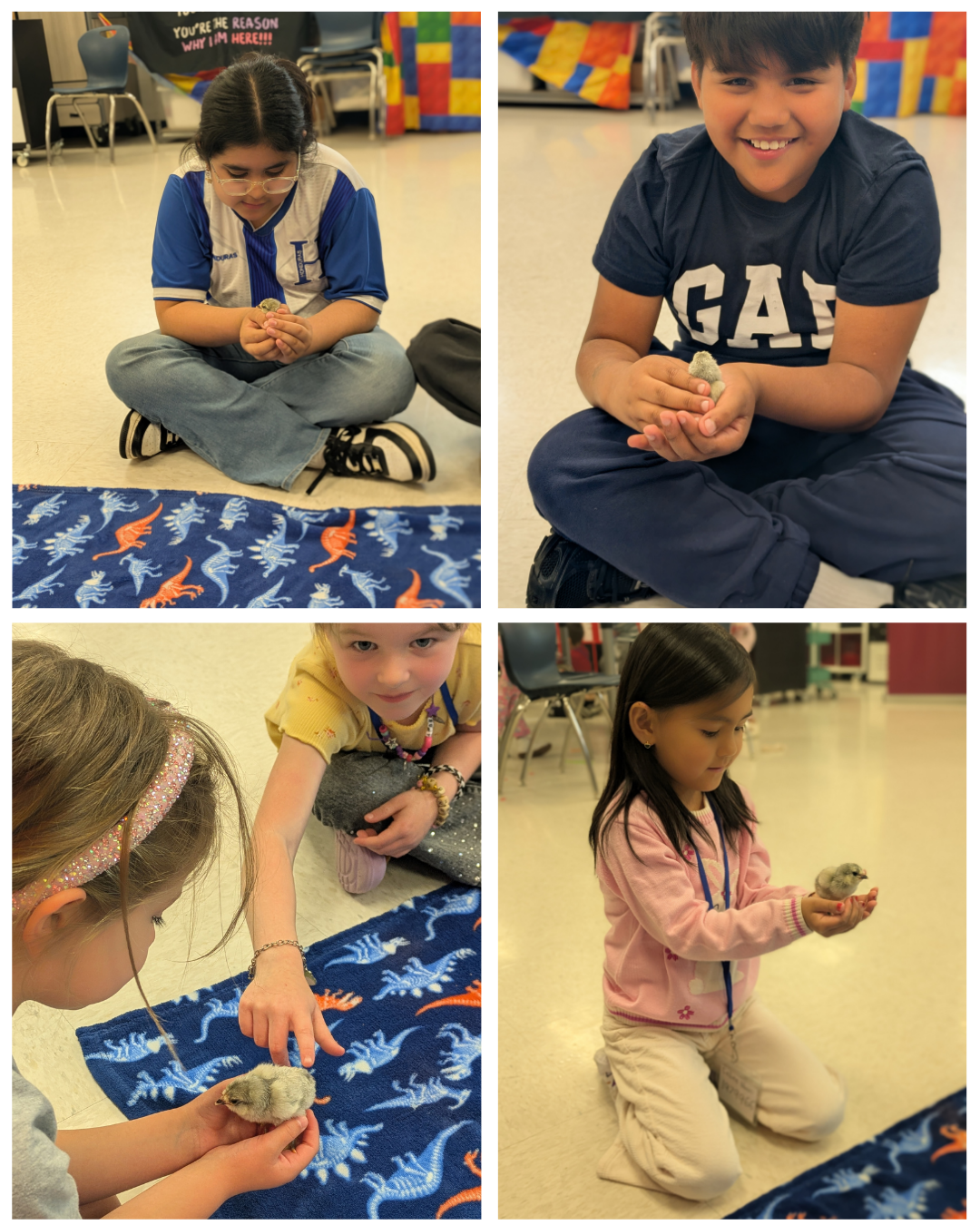 Students with baby chicks