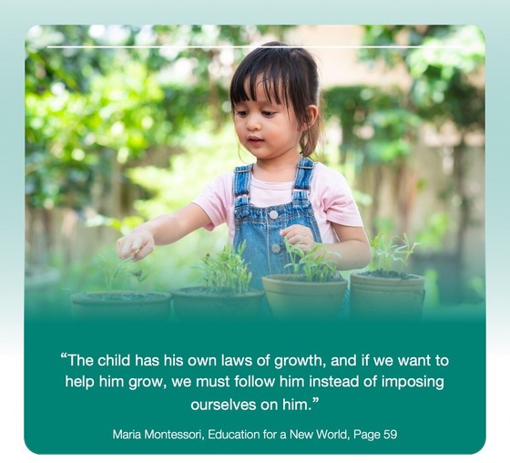 Child with plants in a garden