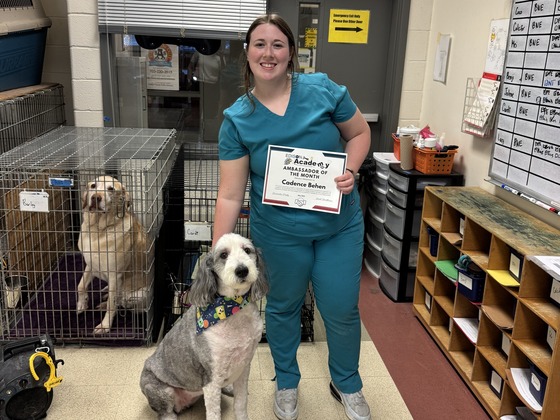 female student in scrubs holding certificate with a dog in grooming lab