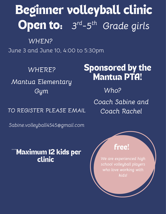 flyer for volleyball clinic