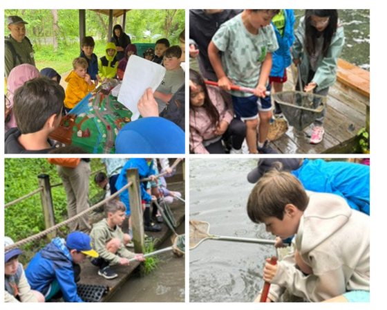 students enjoying nature and working on outdoor projects