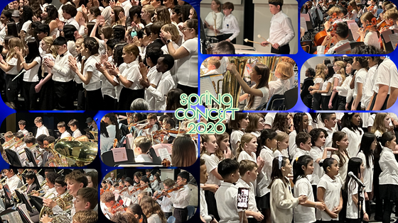 Keene Mill concert collage