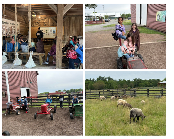 pictures of students enjoying nature and exploring