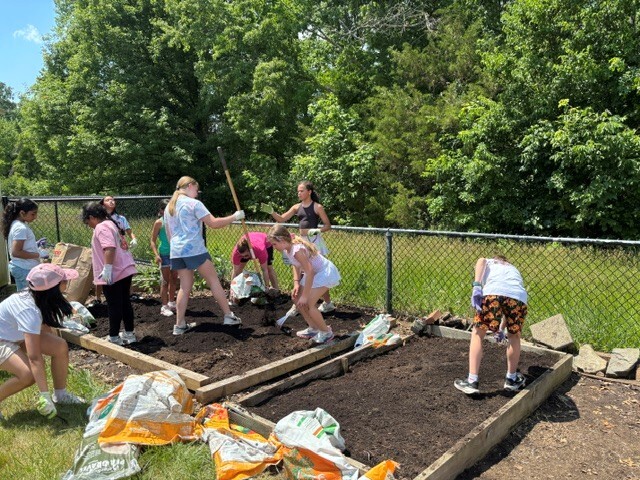 Students planting vegetables in our spring garden.