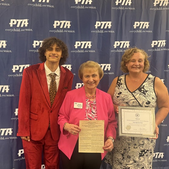 Vicki Sneed receives PTA award