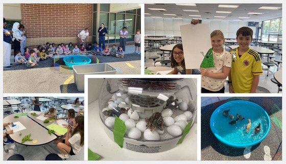 Green Team Collage