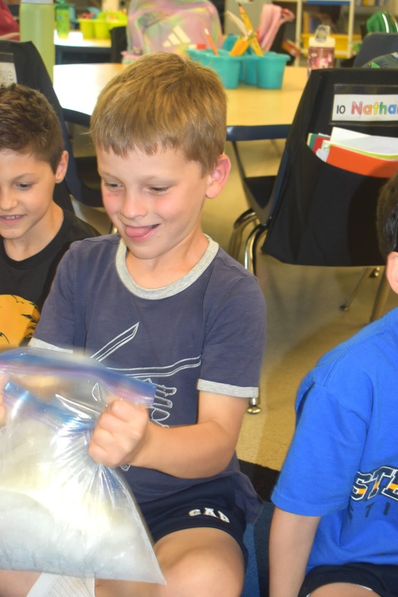 Ice Day Pictures