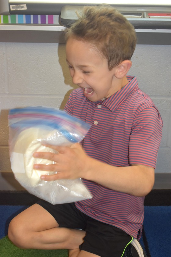 Ice Day Pictures