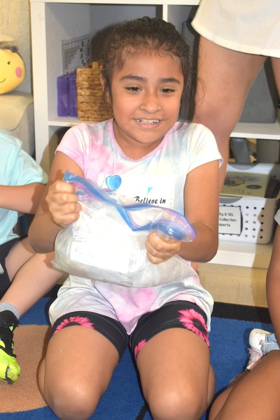 Ice Day Pictures