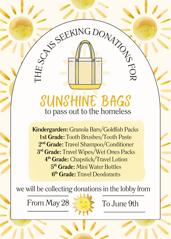 Sunshine Bag Collection Details