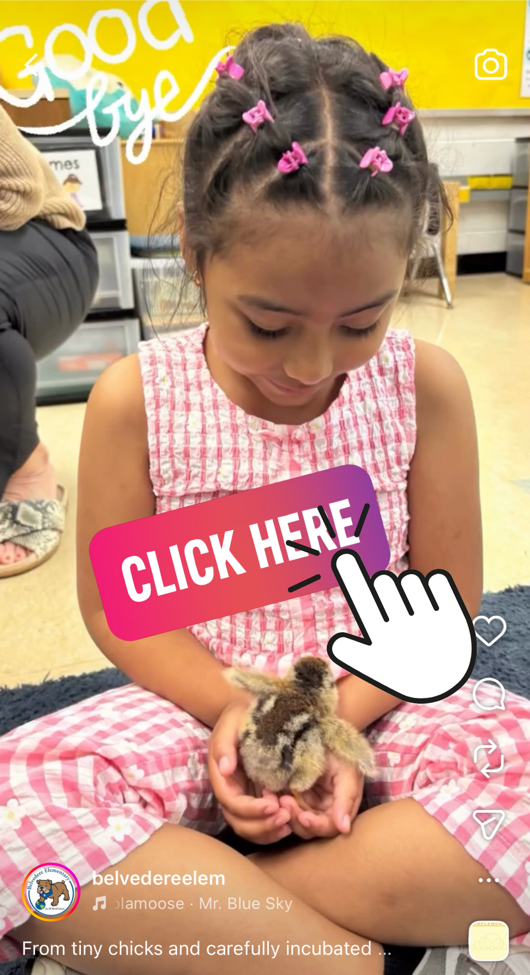 Instagram reel of student holding a chick