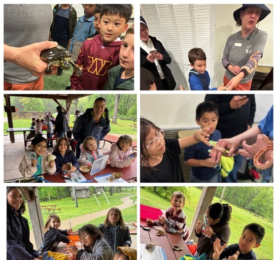 group of students at a nature park looking at turtles, snakes