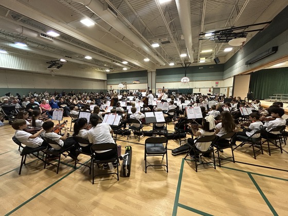 concert
