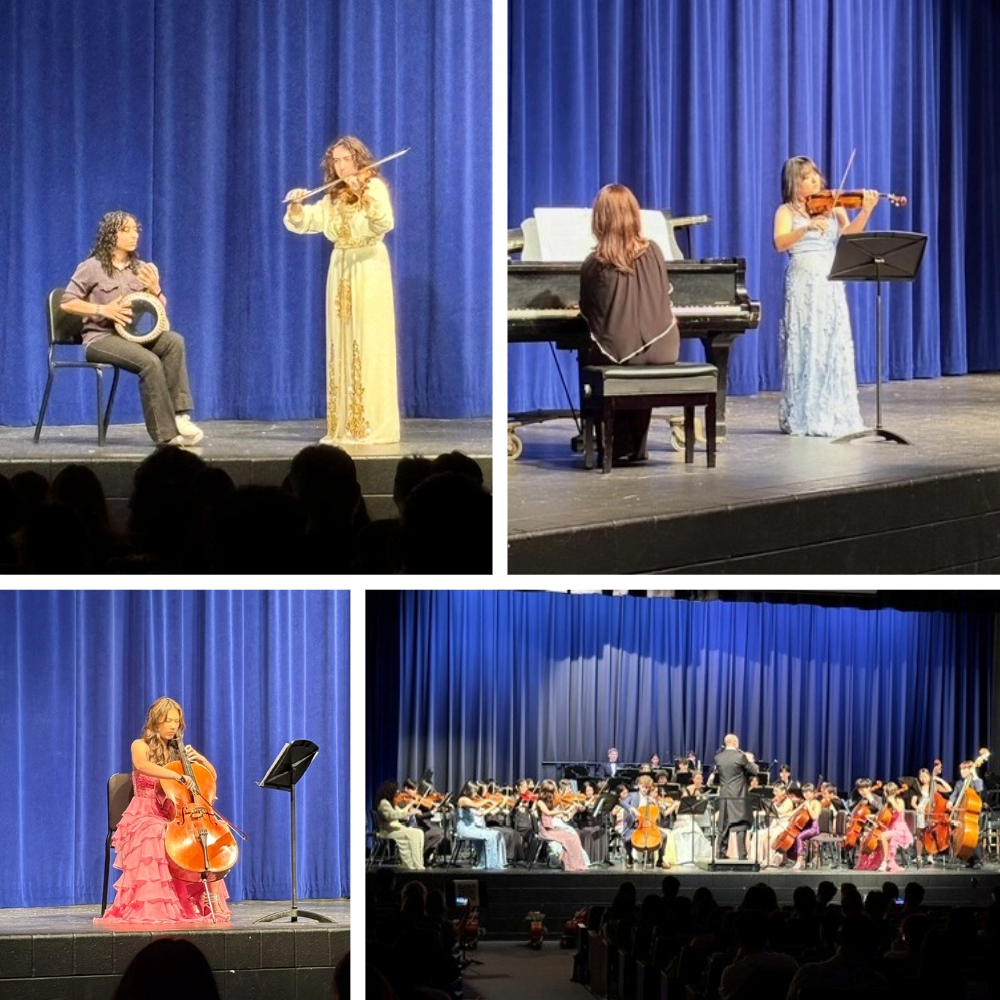 Orchestra