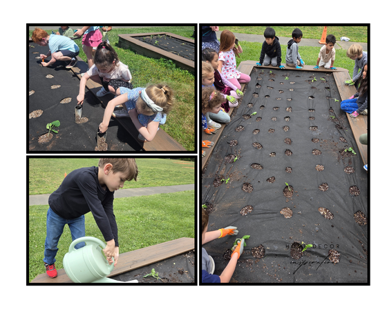 Get2Green planting