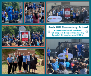 Bush Hill Collage