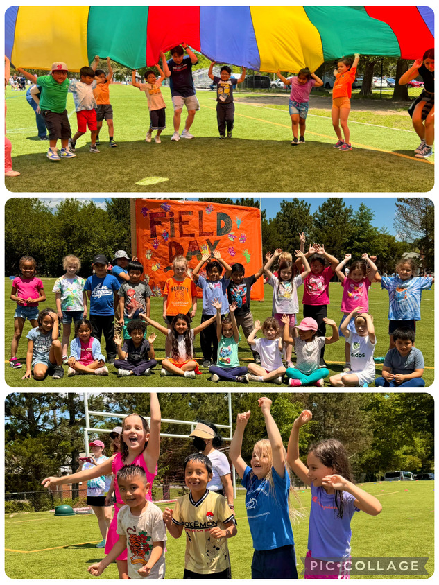 Field Day Collage