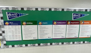 avid bulletin