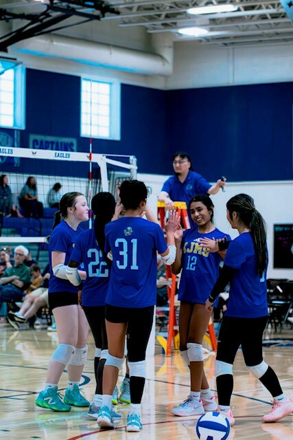 vb
