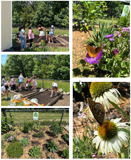 Collage of students planting vegetables and herbs in the Virginia Run Garden.