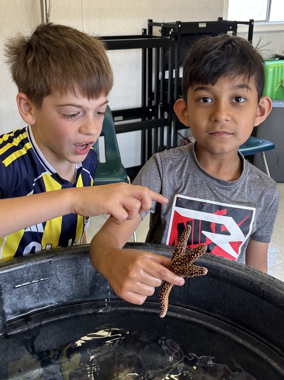 3rd grade students holding a star fish