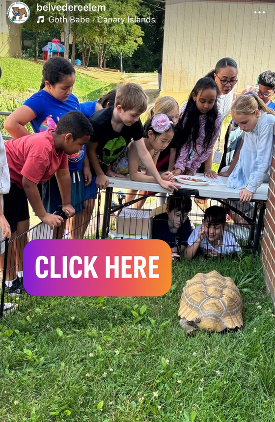 Click Here to view Belvedere's Instagram post about NoVAquarium