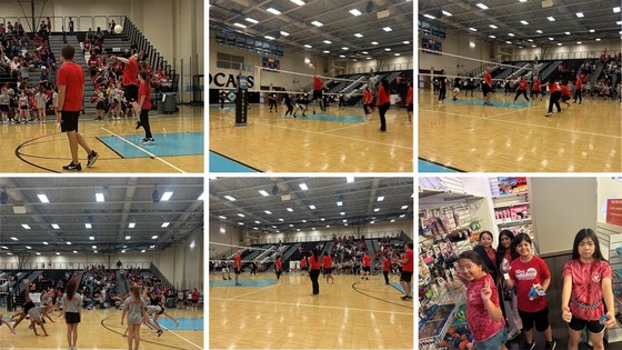 volleyball collage