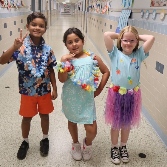 Tropical Day